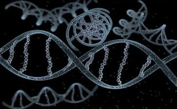 传承红色基因作文5篇