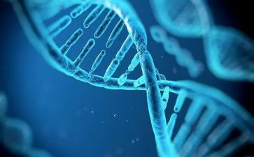 传承红色基因争做强国少年活动方案8篇