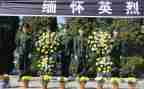 小学生清明祭英烈心得体会7篇