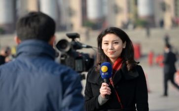 记者的年度总结6篇