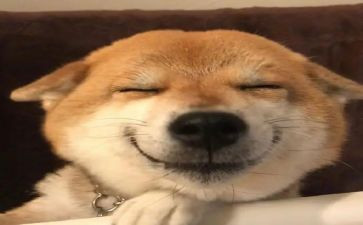 开心的春游作文5篇