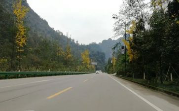 靠自己读后感参考6篇
