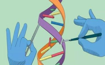 科学研修心得5篇