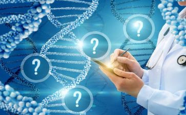本科学前教育自我鉴定优秀5篇