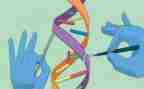 科学教案中班教案精选8篇