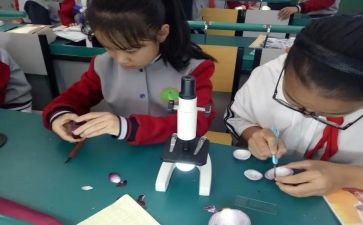 科学课教师工作总结通用6篇