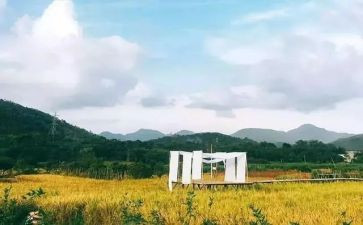 文化苦旅读后感800字6篇