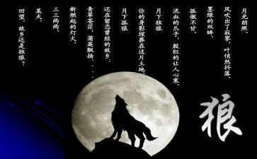 写《狼王梦》的读后感最新7篇