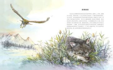 读了狼王梦的心得体会参考8篇