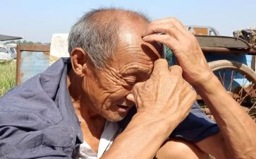 老人鞋活动策划6篇