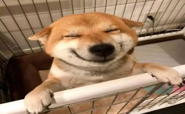 快乐假期生活作文7篇