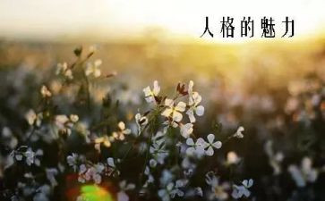 科技的魅力作文8篇