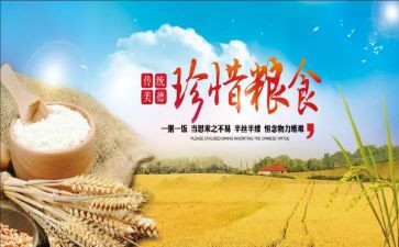 粮食节活动策划7篇