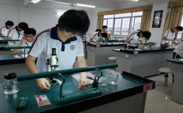 藏理化生工作总结7篇