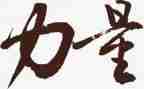 阅读的力量读后感5篇