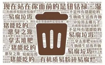 镇机关垃圾分类工作总结8篇