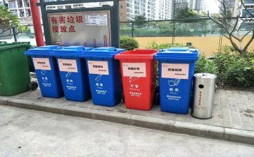 校园捡垃圾活动活动总结6篇