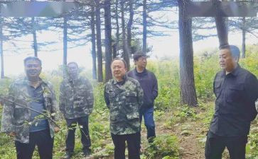 县园林局工作总结5篇