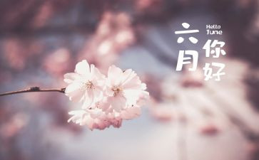 托小班六月份工作总结5篇
