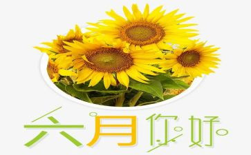 幼儿小班六月工作总结6篇