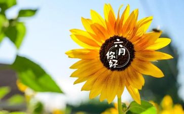 幼儿园大班六月工作总结5篇