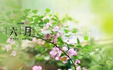 幼儿园小班六月工作总结5篇