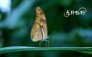 六月工作计划6篇