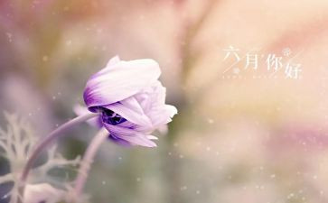 六月份月工作总结优质6篇