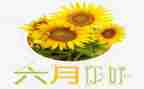 六月份销售的工作总结8篇