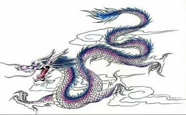 赛龙舟活动方案7篇