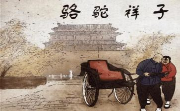 骆驼读后感参考7篇