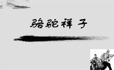 骑骆驼作文600字模板5篇