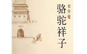 骆驼作文300字5篇
