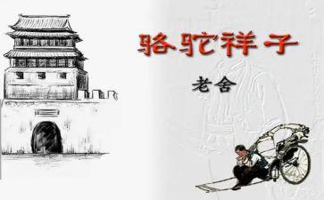 骆驼祥子第九回心得体会5篇