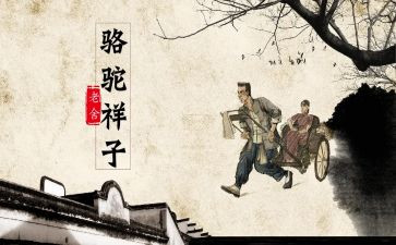 心得体会骆驼祥子500字6篇