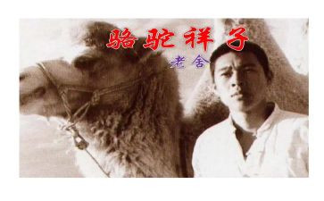 读书骆驼祥子心得体会模板7篇
