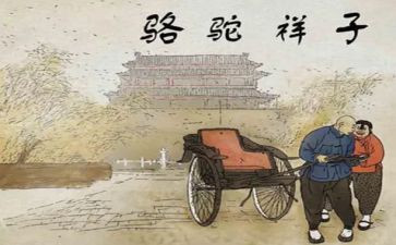骆驼祥读后感最新5篇
