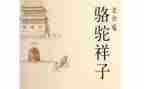 骆驼作文300字5篇