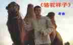 找骆驼读后感600字最新8篇