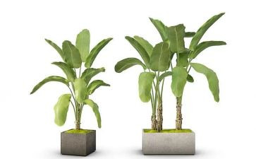 绿化工程的合同精选5篇