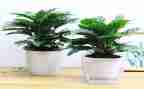 节能低碳绿色活动方案5篇