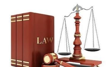 律师年度报告总结报告6篇