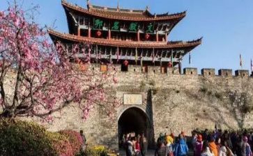 旅游社的演讲稿最新6篇