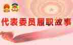 履职个人年度总结5篇