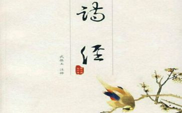 氓读后感1000字优秀6篇