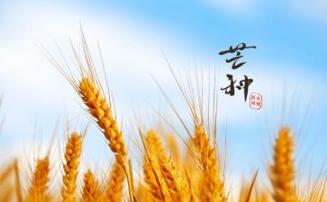 芒种作文7篇