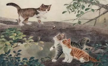 猫的作文600字参考6篇
