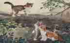 猫的作文600字参考6篇