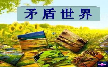 矛与盾作文800字参考6篇