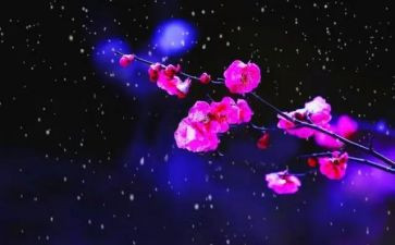 描写梅花和雪的作文6篇